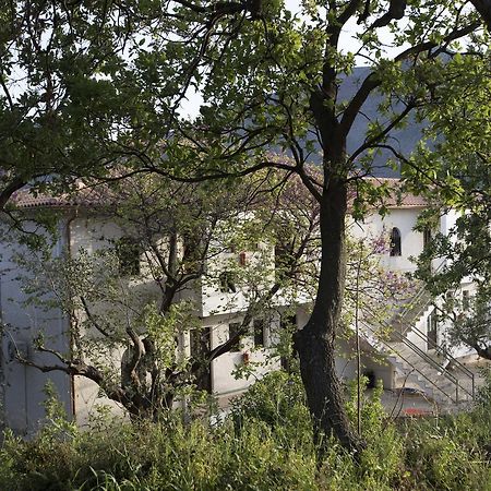 Kavoulakos Studios Skoutarion Exterior photo